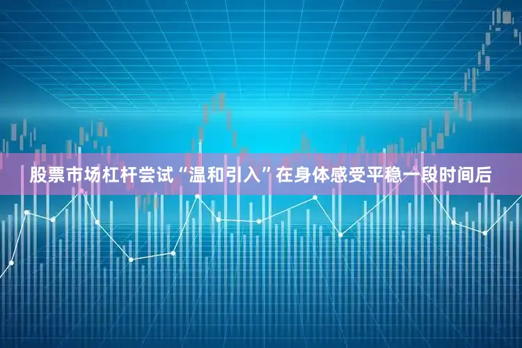 股票市场杠杆尝试“温和引入”在身体感受平稳一段时间后