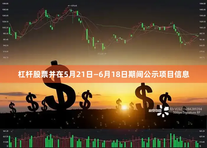 杠杆股票并在5月21日—6月18日期间公示项目信息