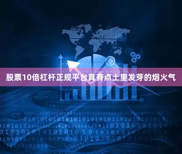 股票10倍杠杆正规平台真有点土里发芽的烟火气